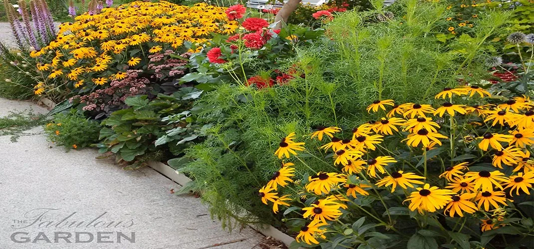 City garden