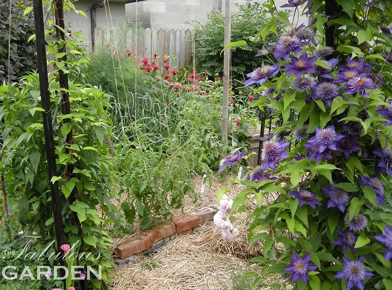 city garden