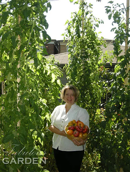 city garden