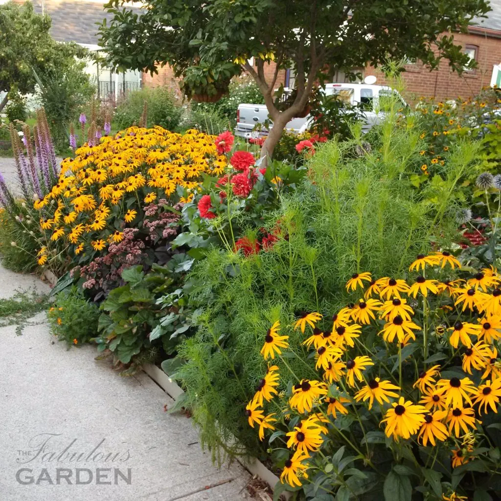 city garden
