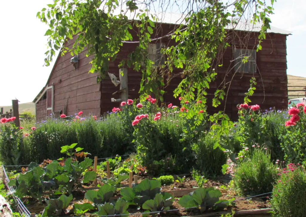 happy valley garden