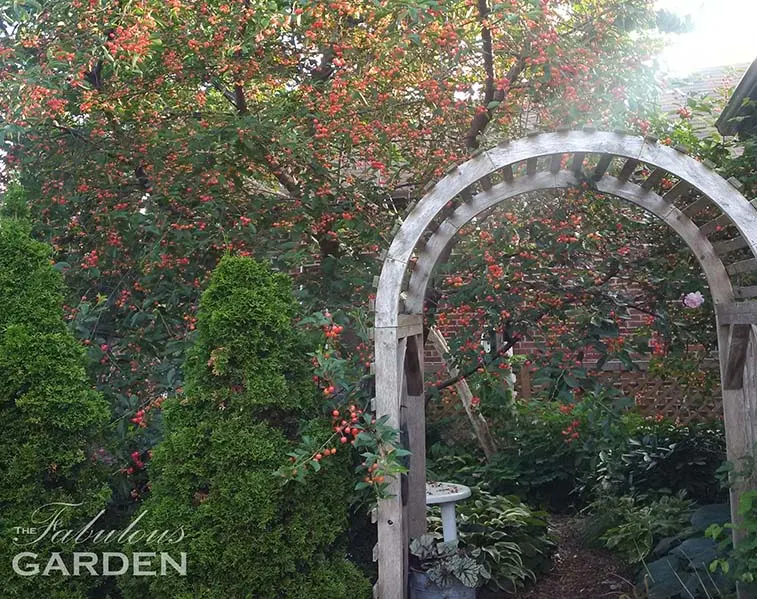 city garden