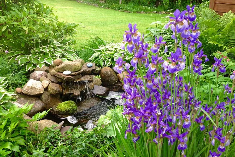 zen garden