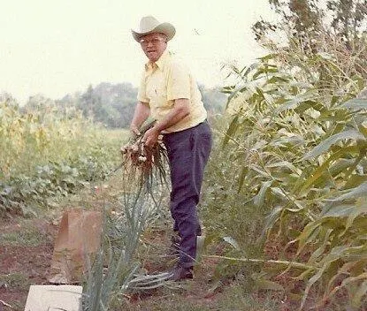 Cheryl's garden