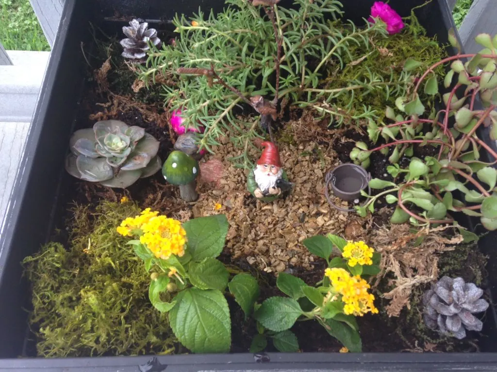 cheryl's garden