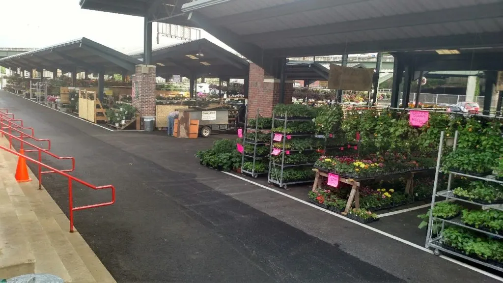 Charleston Capitol market