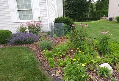 prairie garden