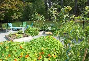 potager garden