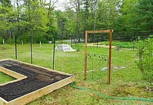 potager garden