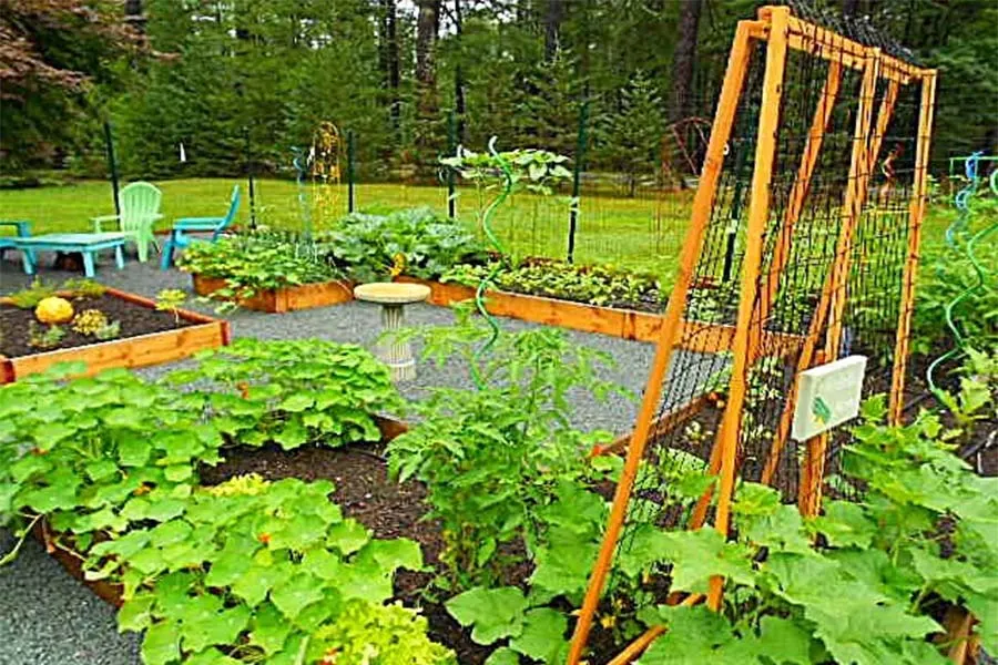 potager garden