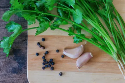 patio herbs
