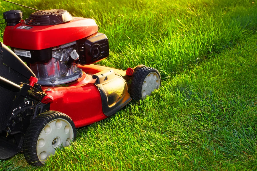 mowing mistakes