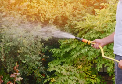 garden mistakes