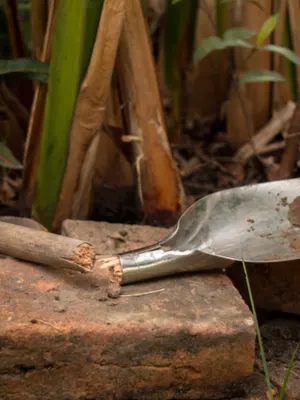 preparing garden equipment