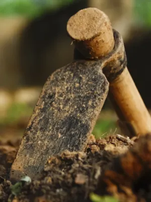 preparing garden equipment
