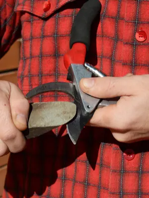 preparing garden equipment