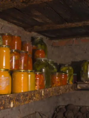 root cellar