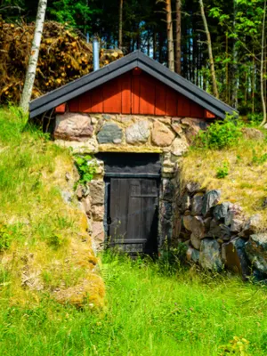 homemade root cellar