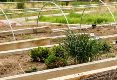 hoophouse
