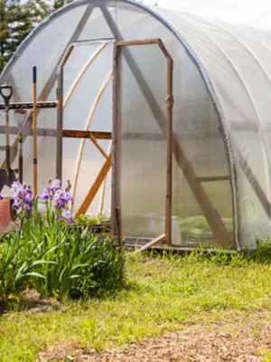 hoophouse