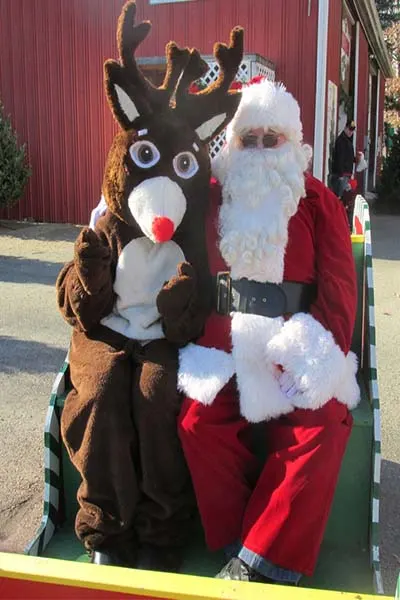 Christmas Tree Farm
