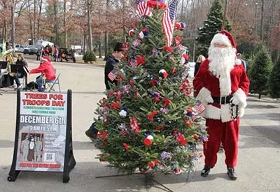 Christmas Tree Farm