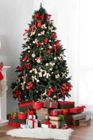 living Christmas tree