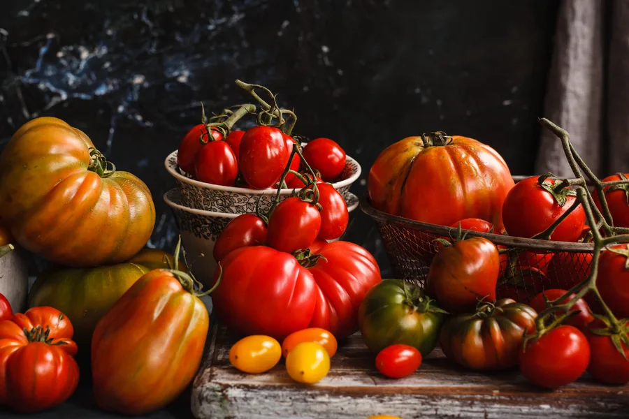 growing heirloom tomatoes