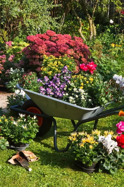 keeping a garden journal
