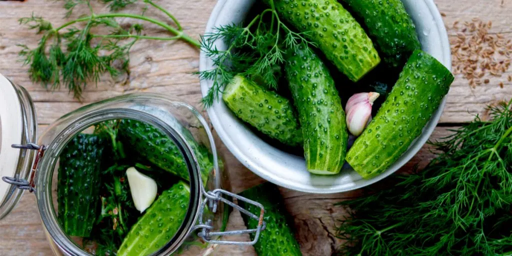 homemade dill pickles