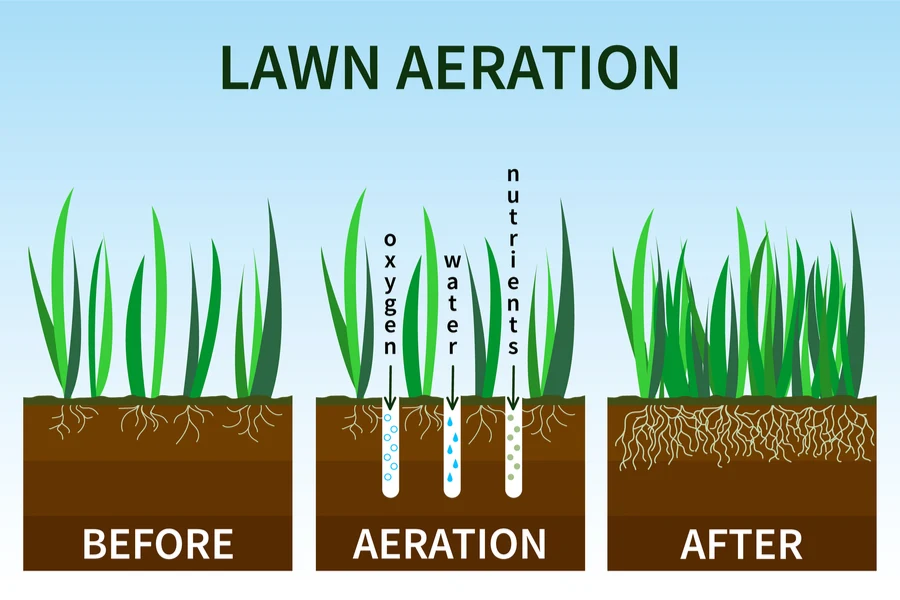 how aeration works in a lawn