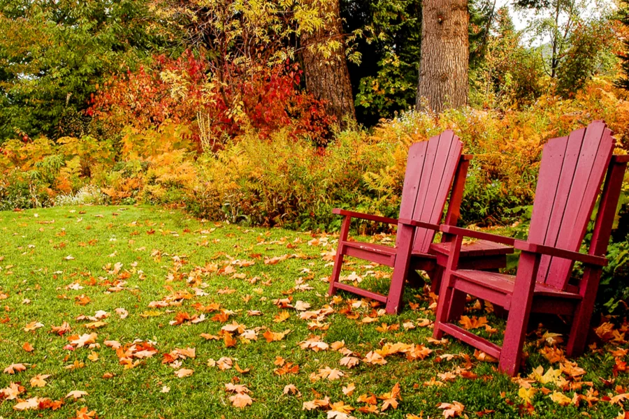 how to mow your fall lawn