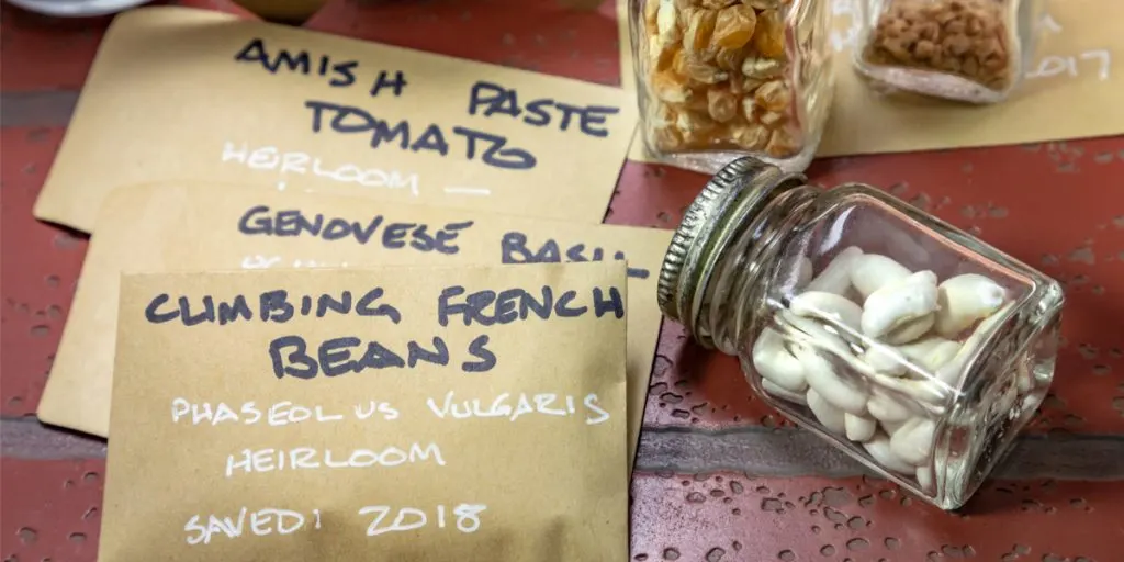 how to store seeds