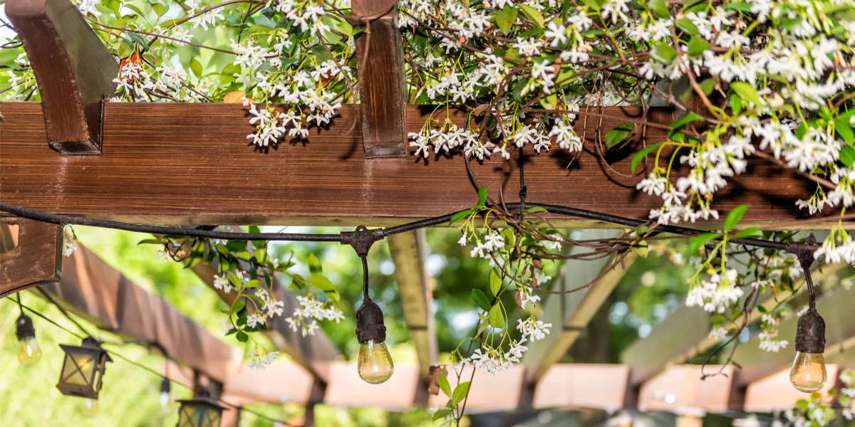 diy wood pergola