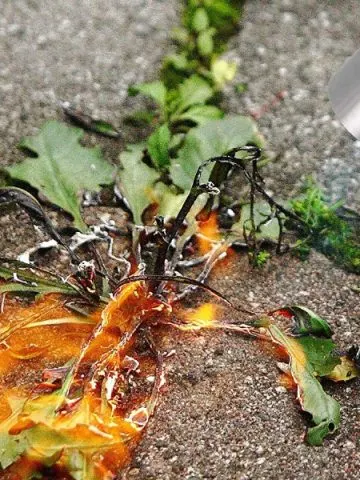 how to use a weed torch