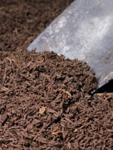 how to use worm castings
