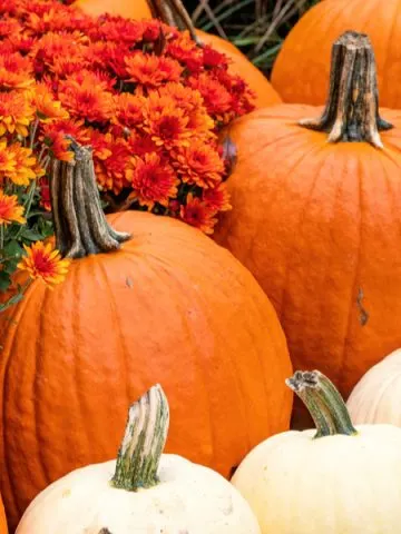how to make pumpkins last longer
