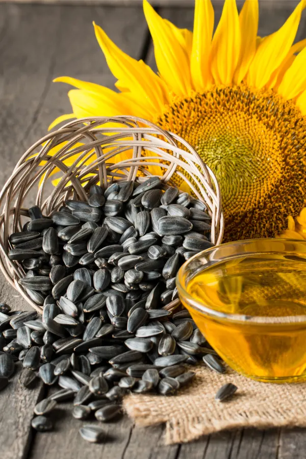 black oil sunflower seeds
