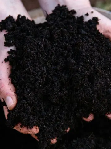 5 essentail garden supplies