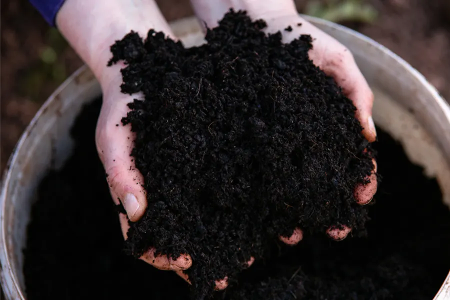 5 essentail garden supplies