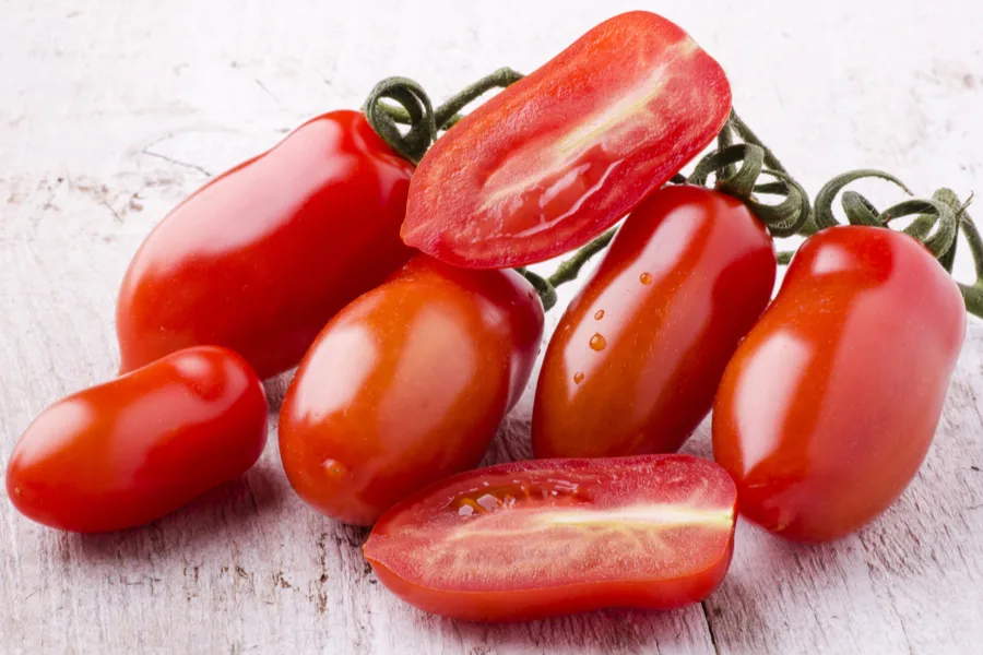 best tomato for preserving