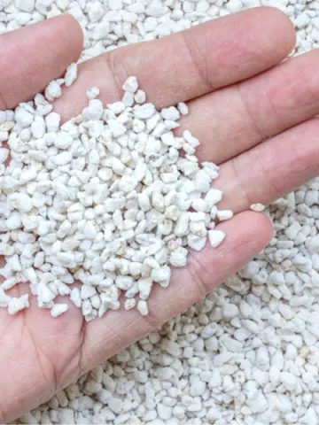 how to use perlite