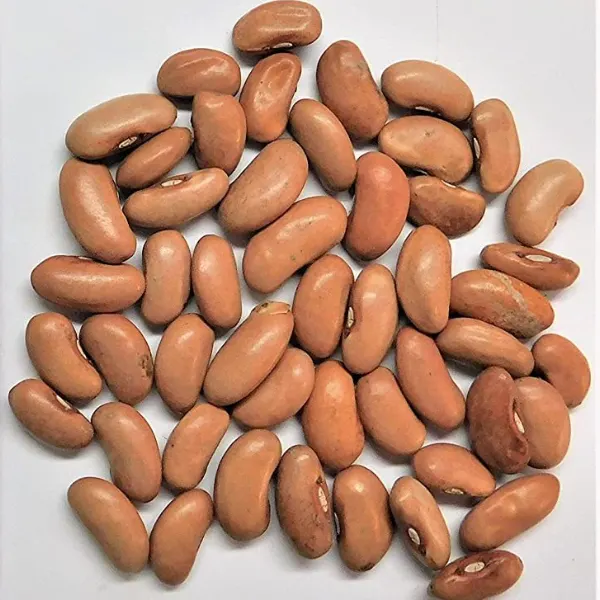 purple pole bean seeds - growing pole beans