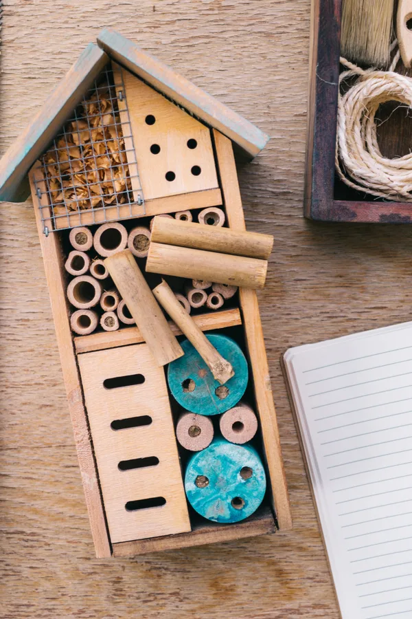 diy ladybug house - control pests naturally