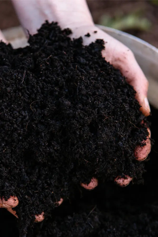 compost