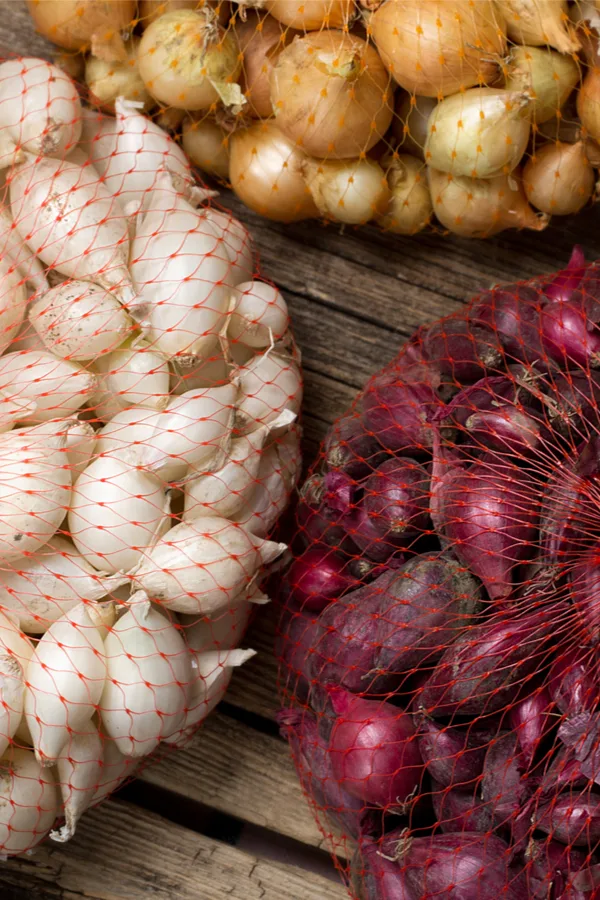 onion sets