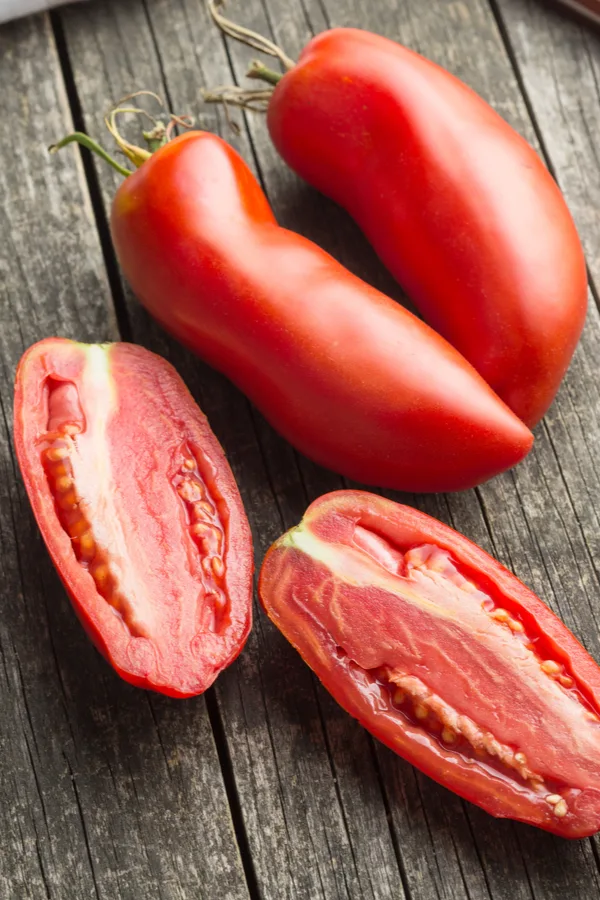 san marzano - best garden seed catalogs