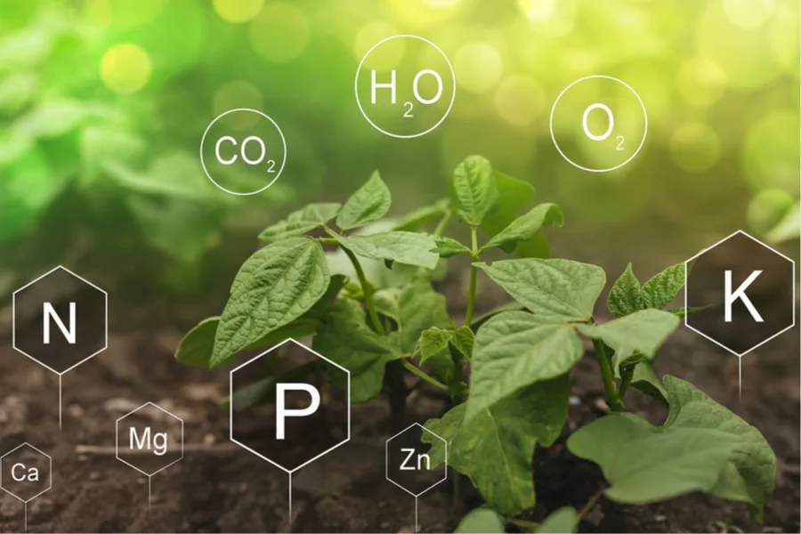 understanding fertilizers - npk