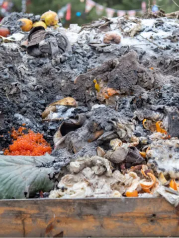common composting mistakes