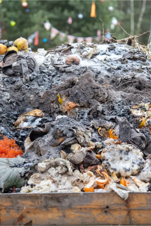 compost pile ingredients